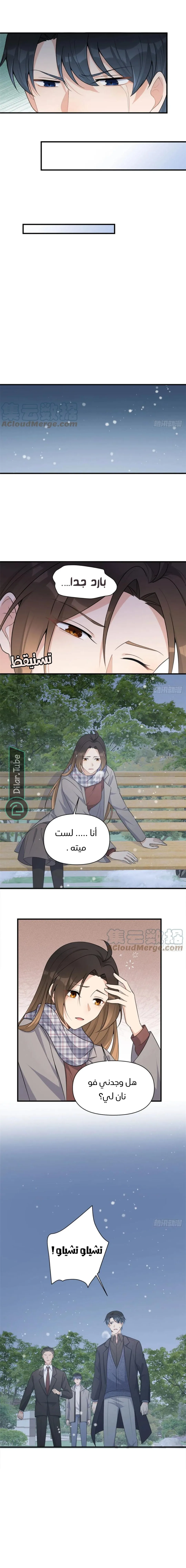 الصفحة 5