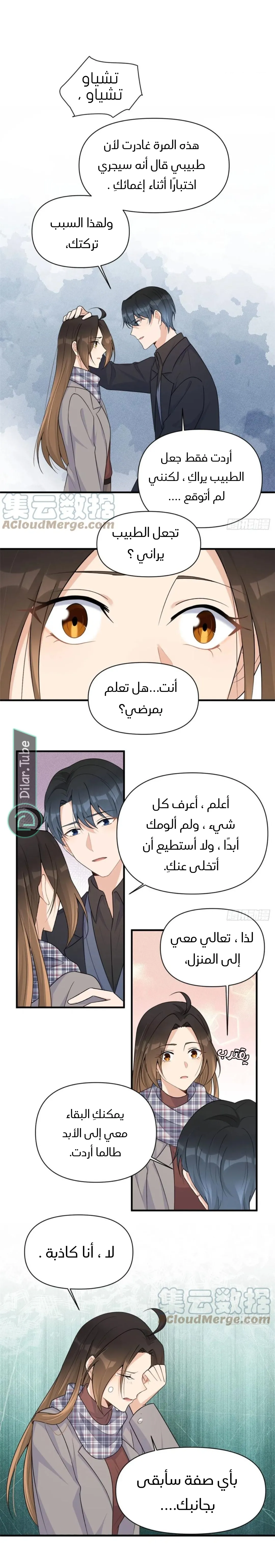 الصفحة 8