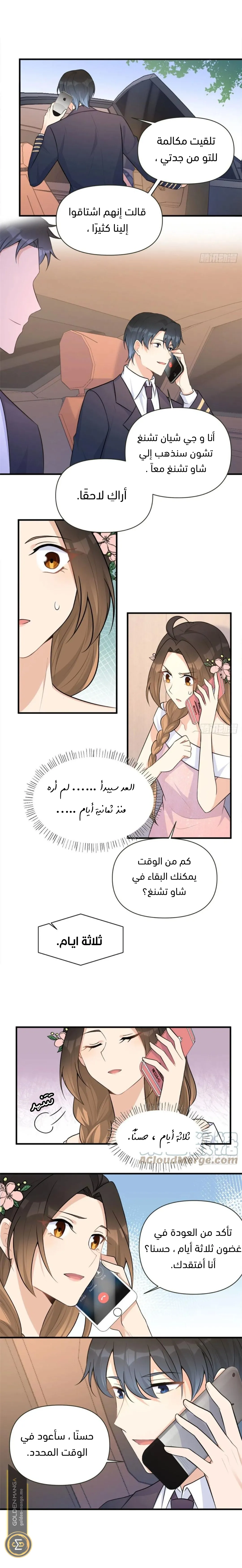 الصفحة 11