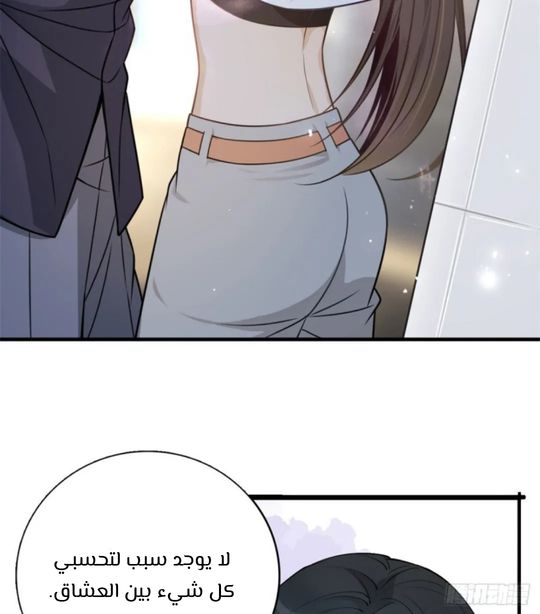 الصفحة 17