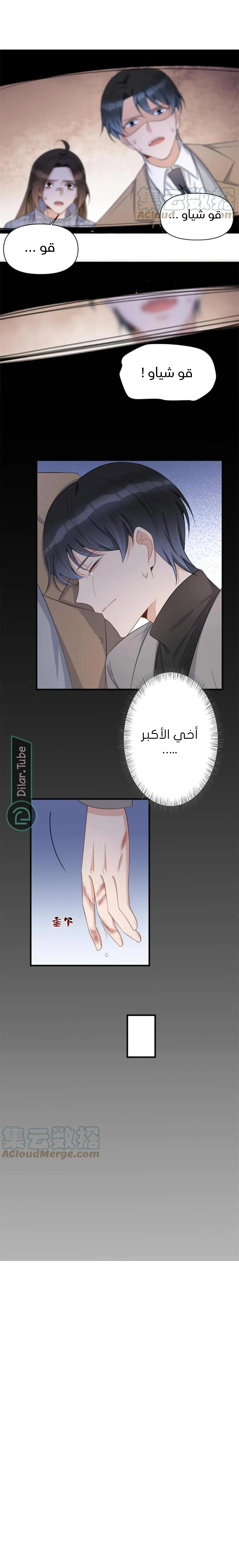 الصفحة 10