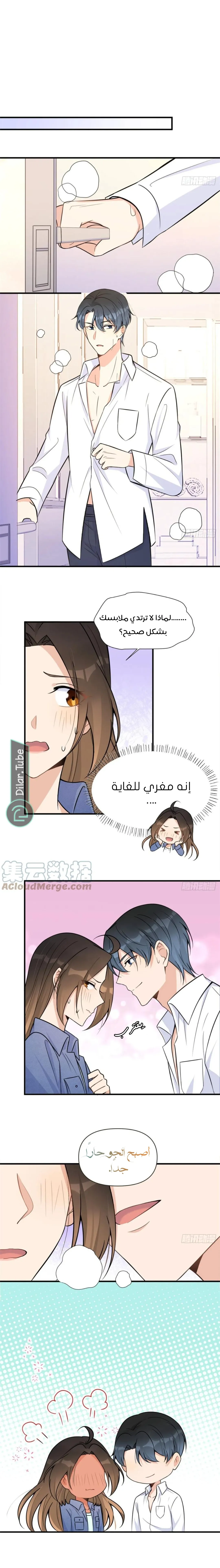 الصفحة 12