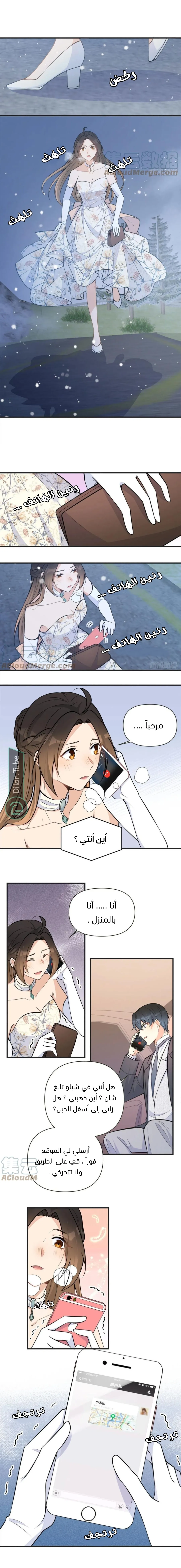 الصفحة 6