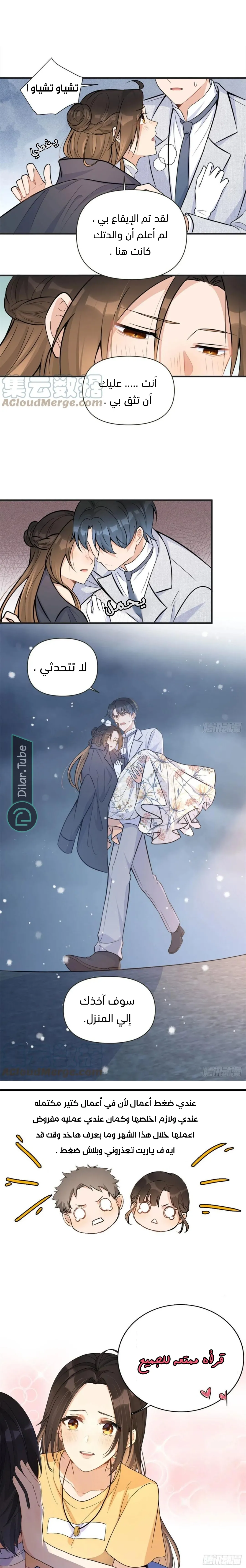 الصفحة 8