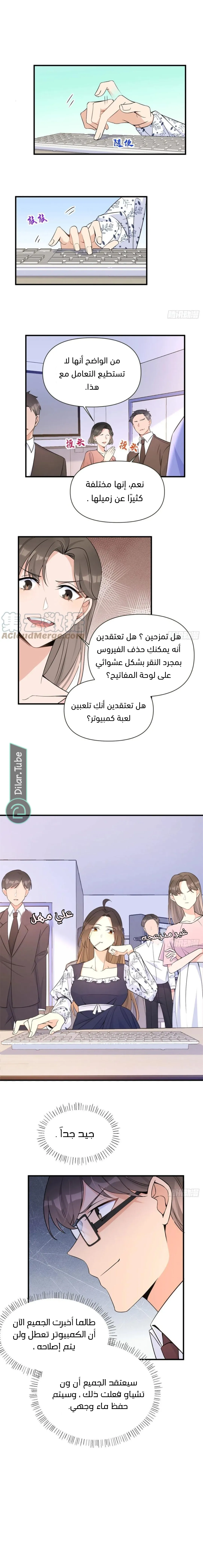 الصفحة 11