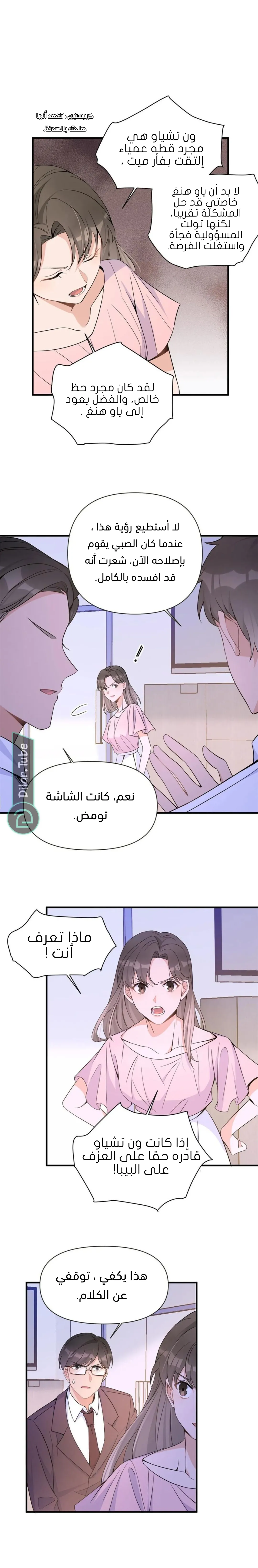 الصفحة 13