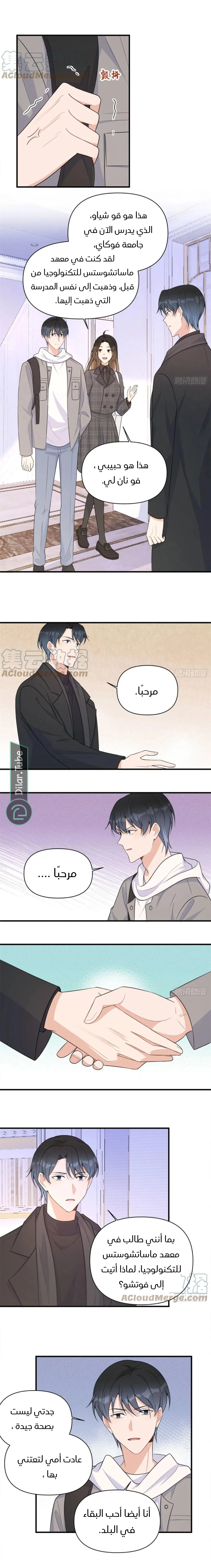 الصفحة 8