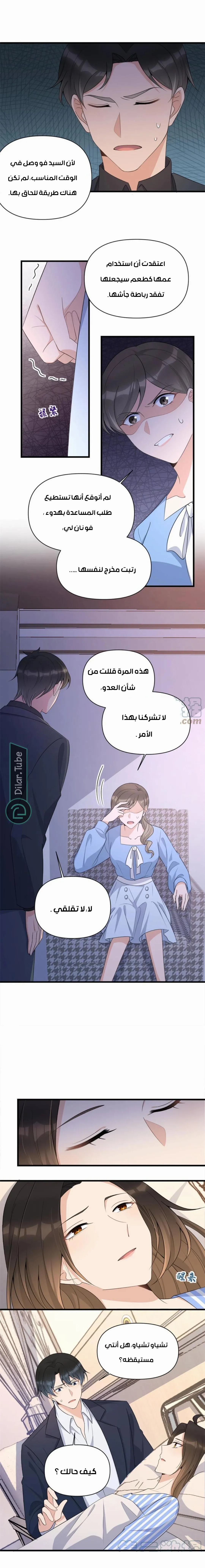 الصفحة 3