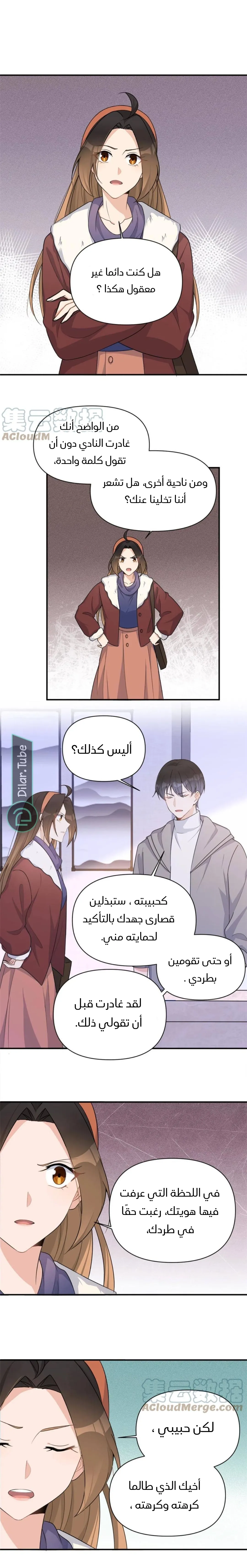الصفحة 8