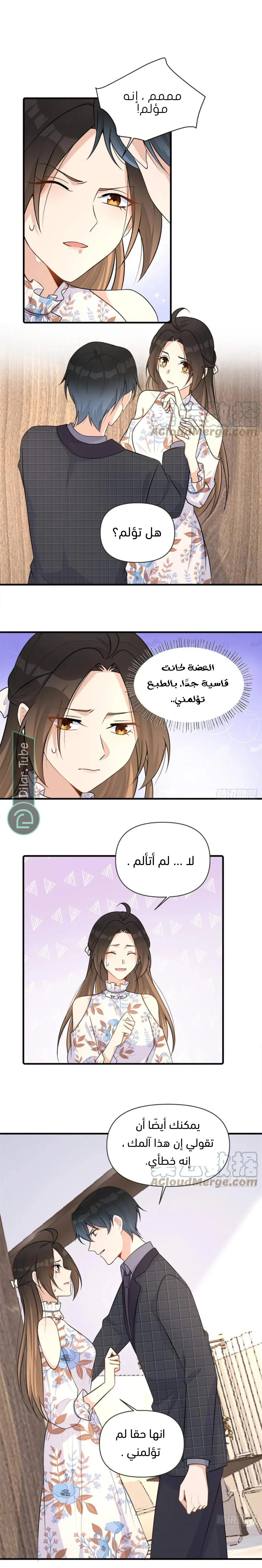 الصفحة 8