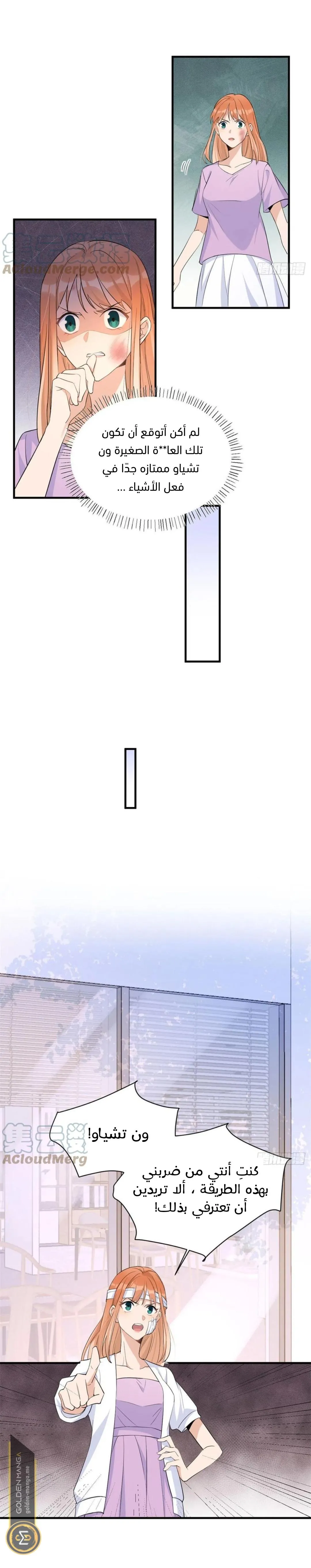 الصفحة 3
