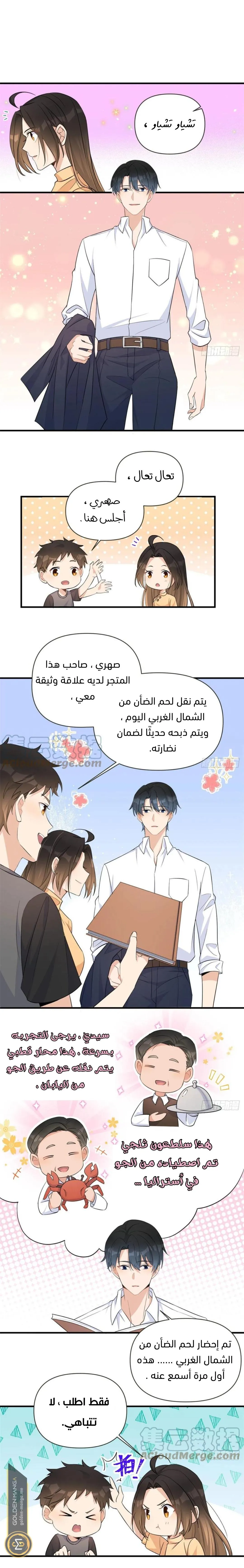 الصفحة 7