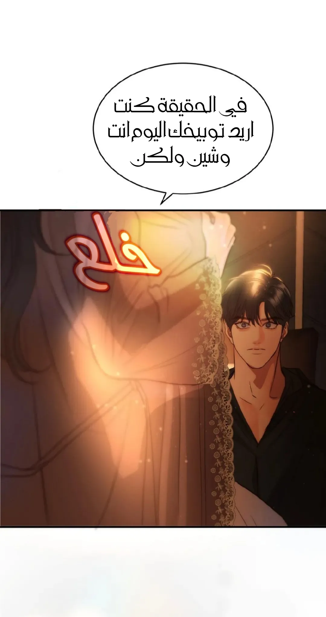 الصفحة 25