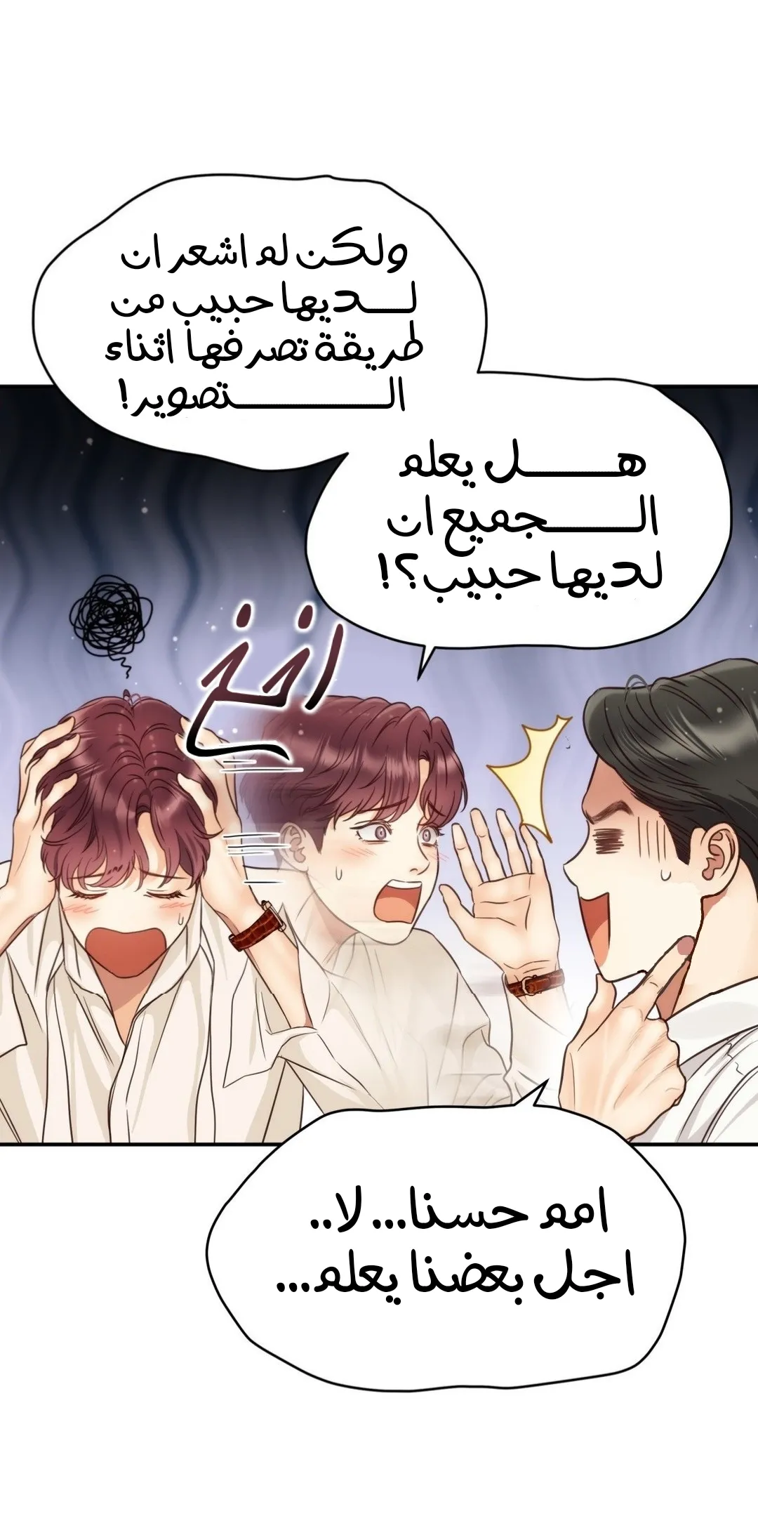 الصفحة 25