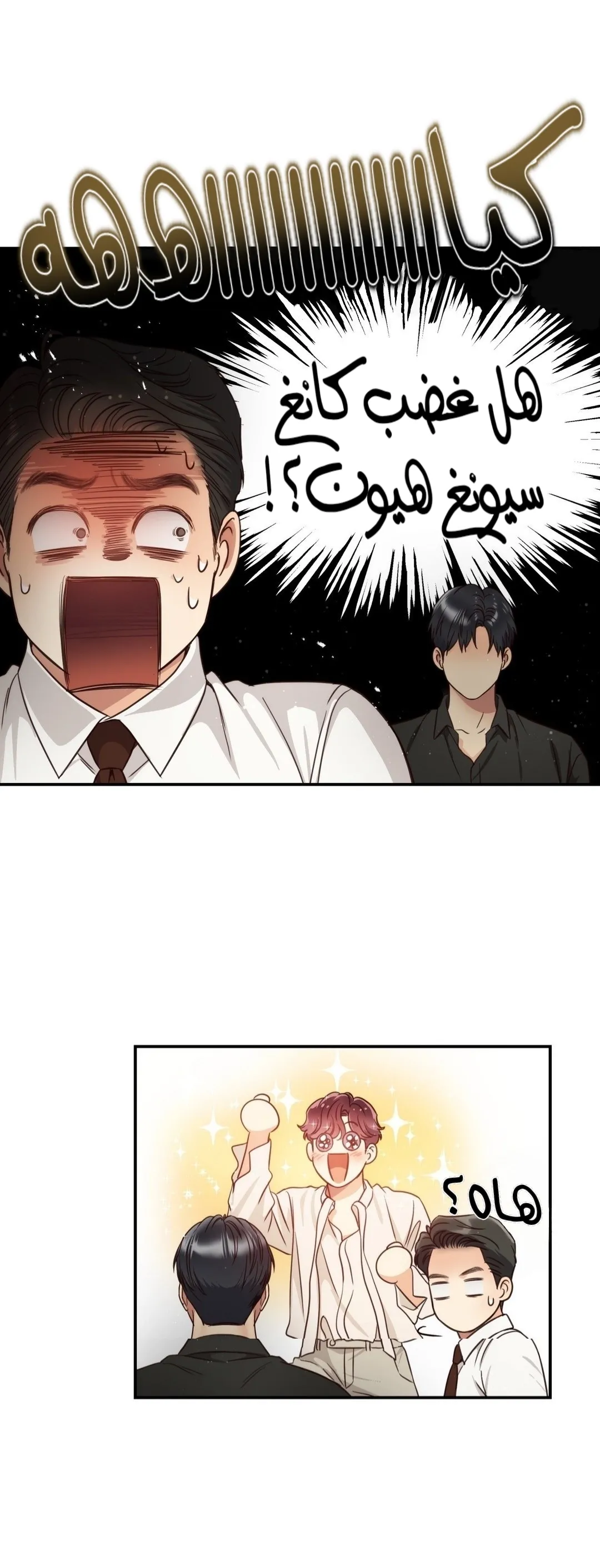الصفحة 29