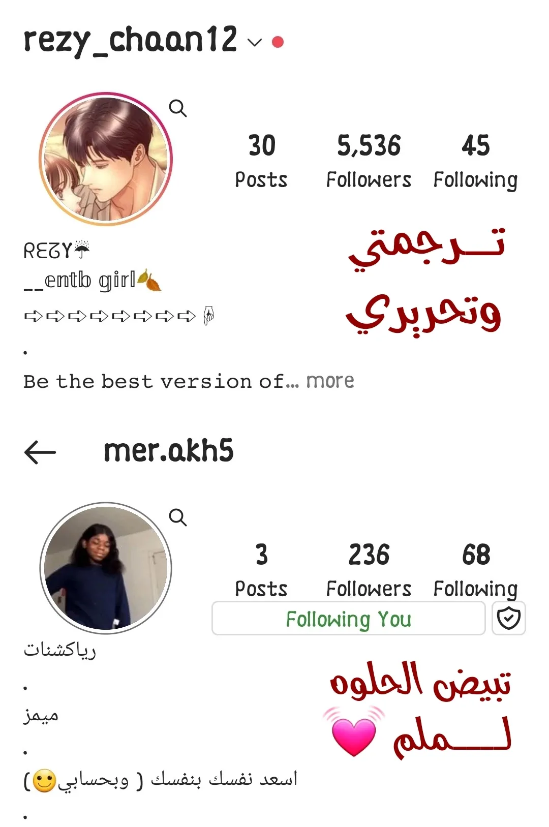 الصفحة 40