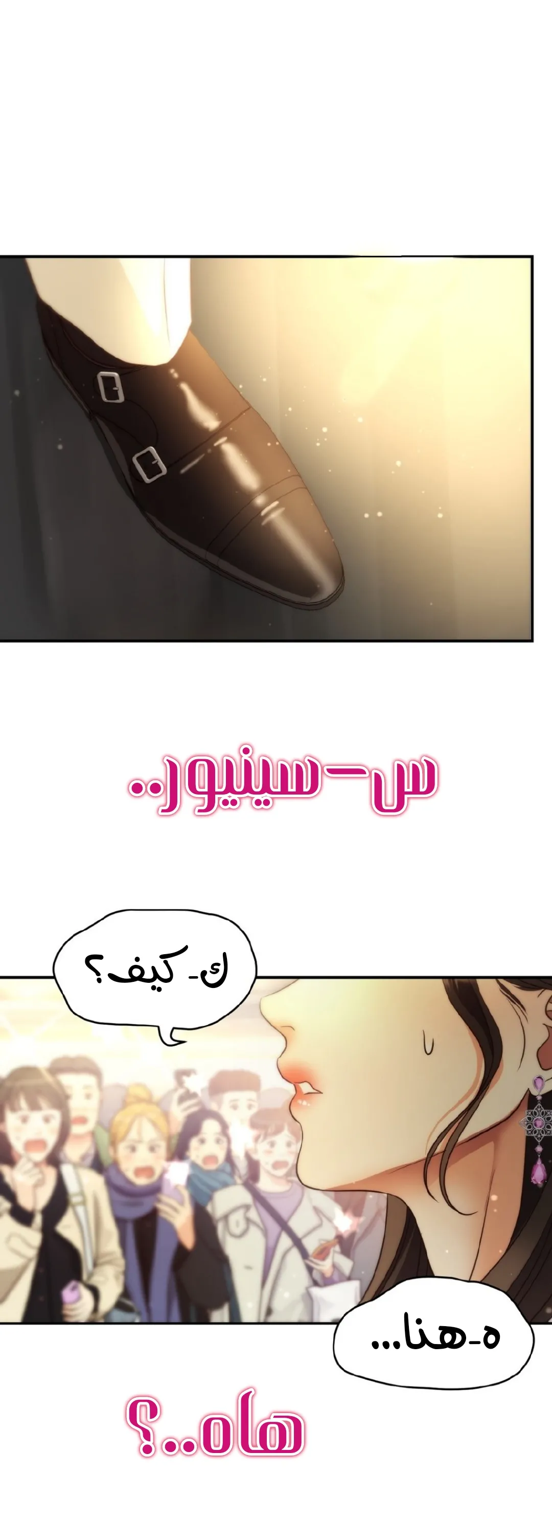 الصفحة 53