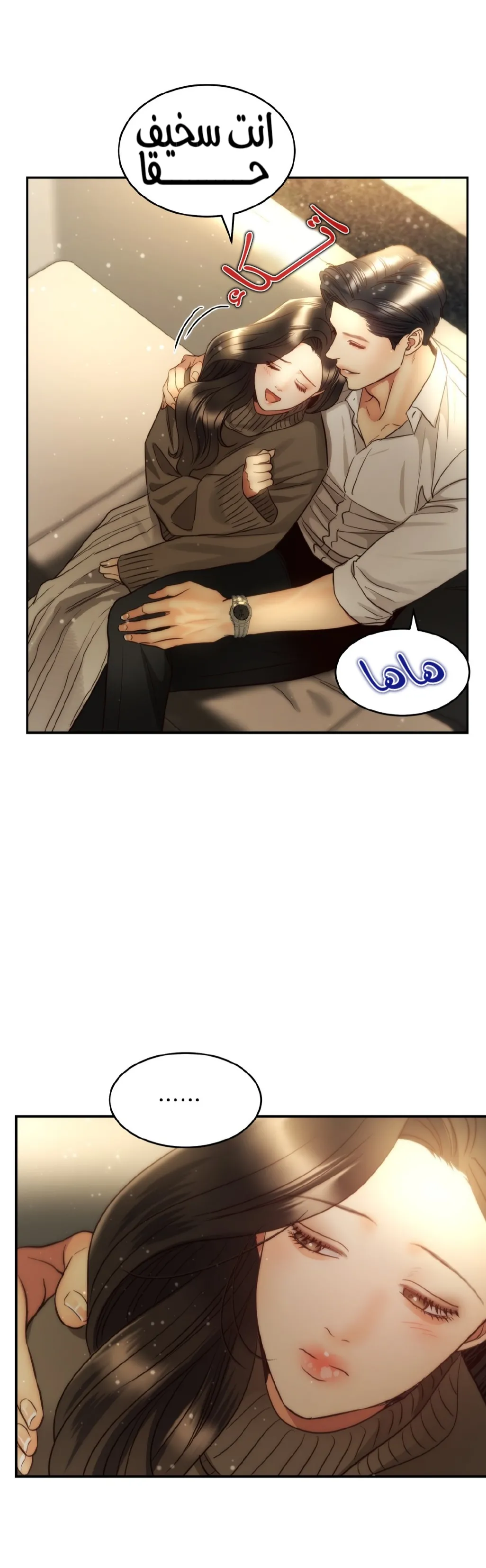 الصفحة 13
