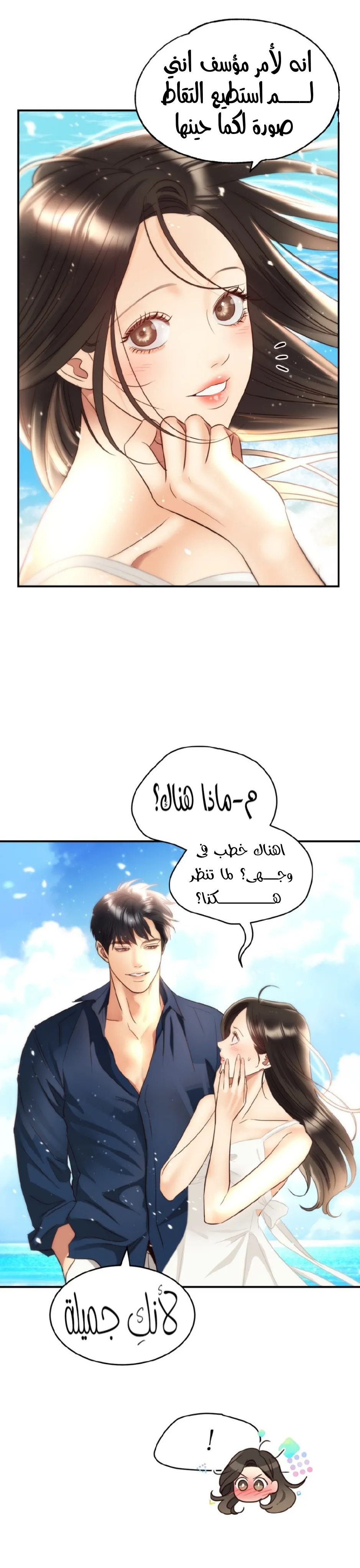 الصفحة 25