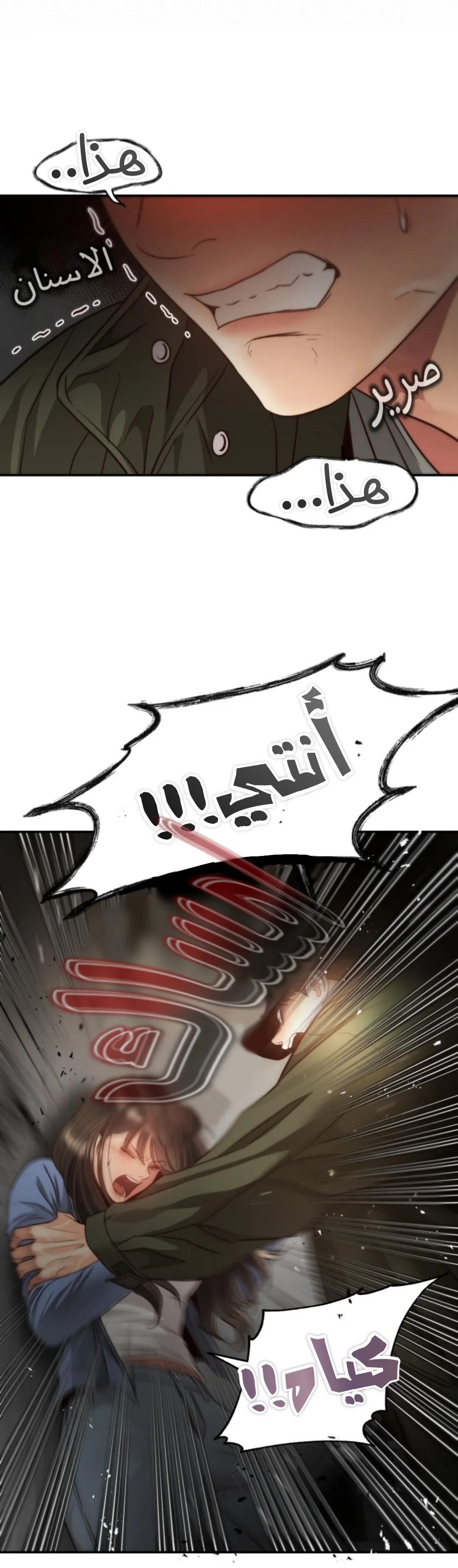 الصفحة 12