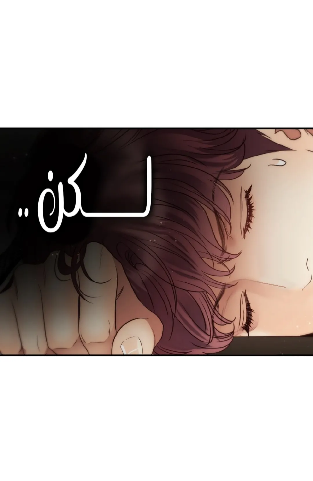 الصفحة 24