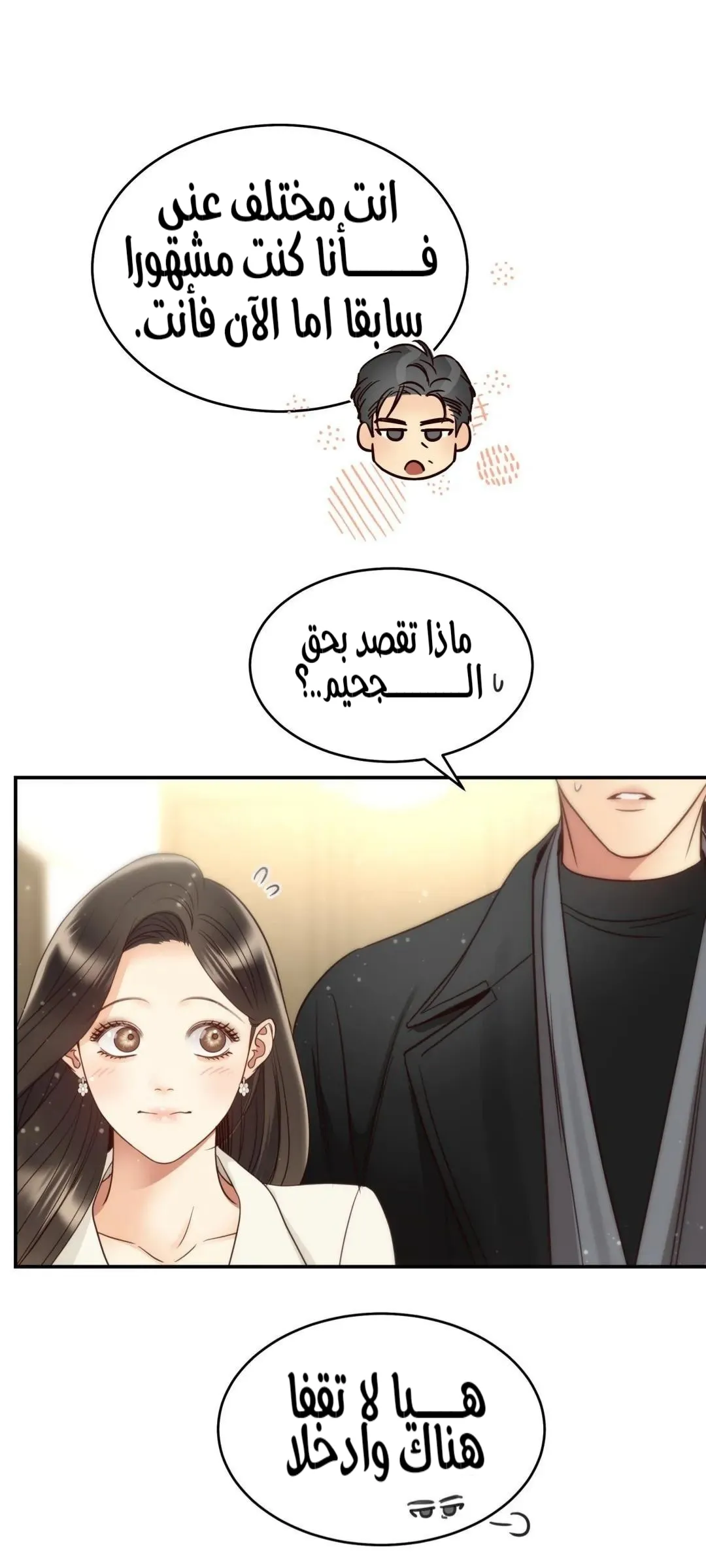 الصفحة 13