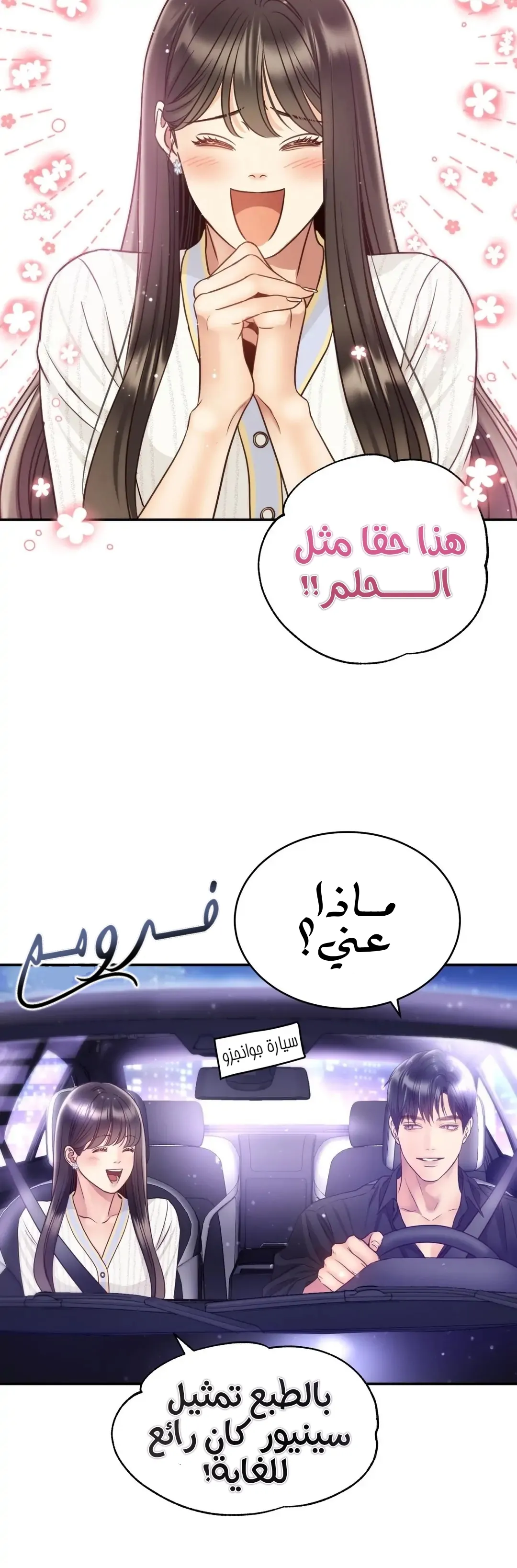 الصفحة 20
