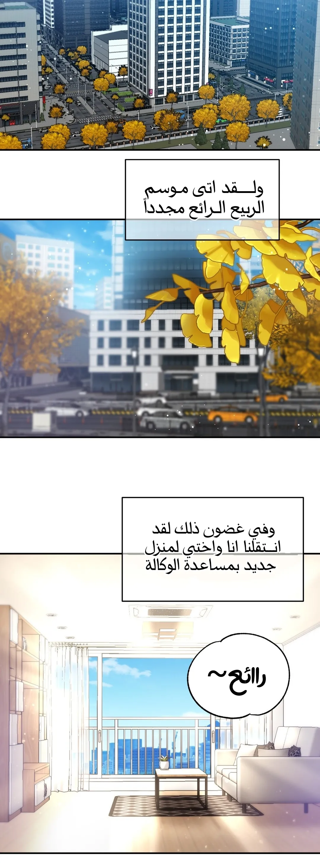 الصفحة 14