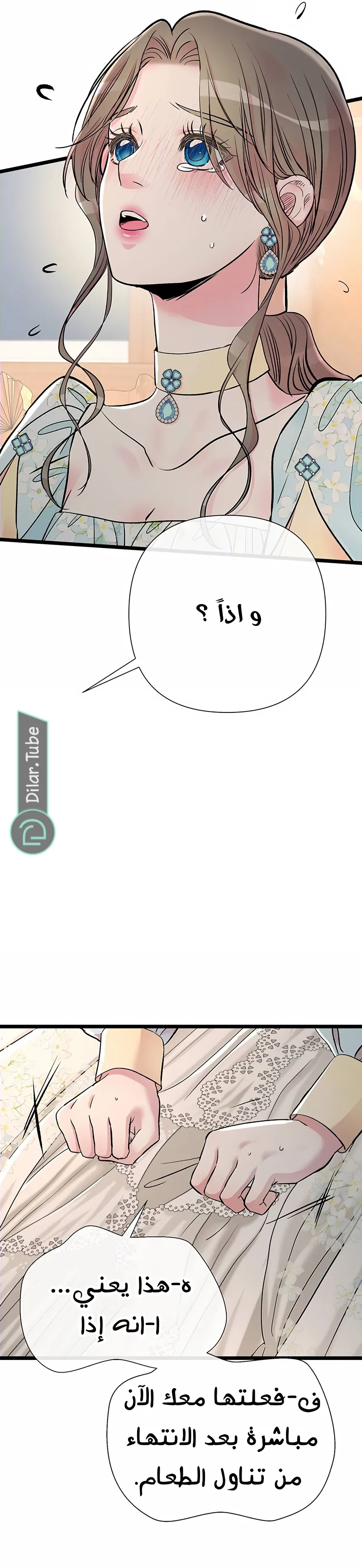 الصفحة 11