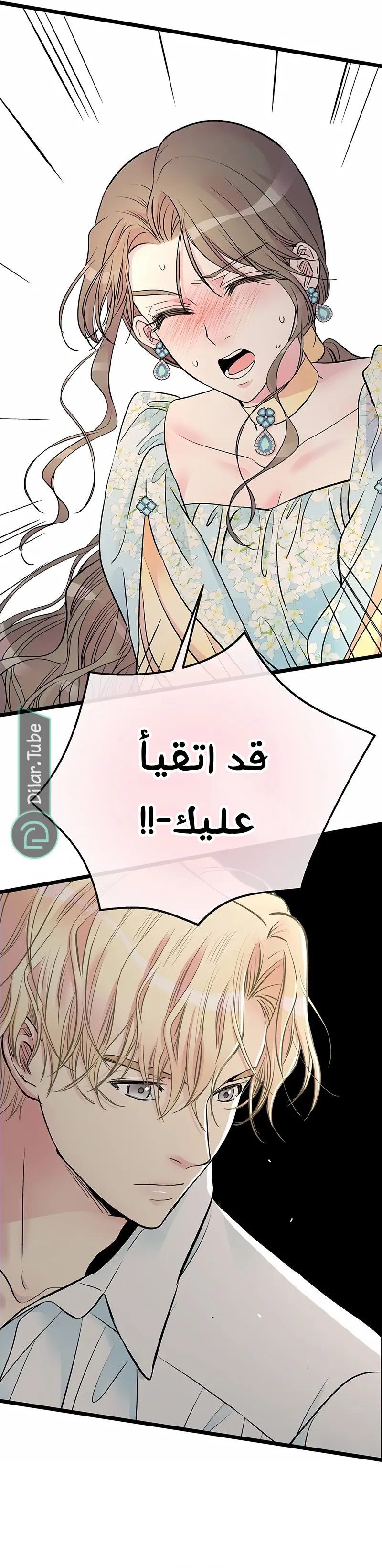 الصفحة 12