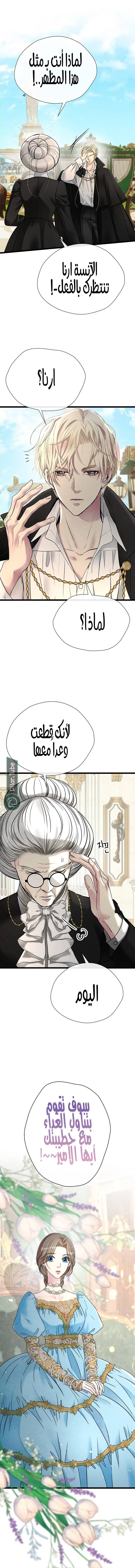 الصفحة 16