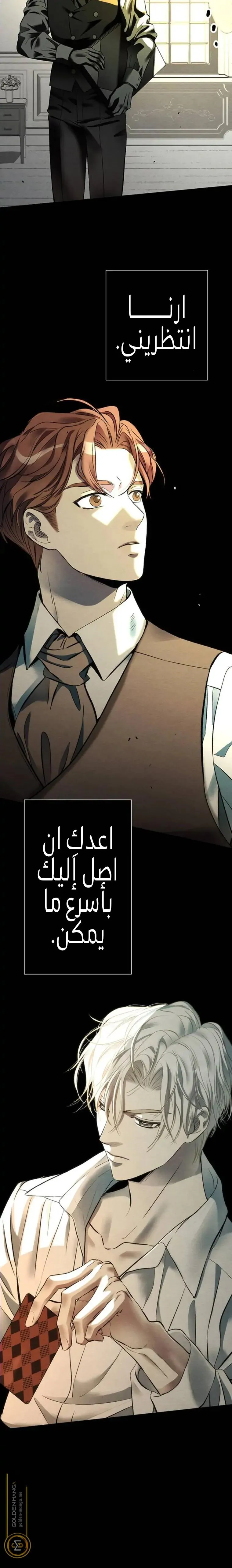 الصفحة 13