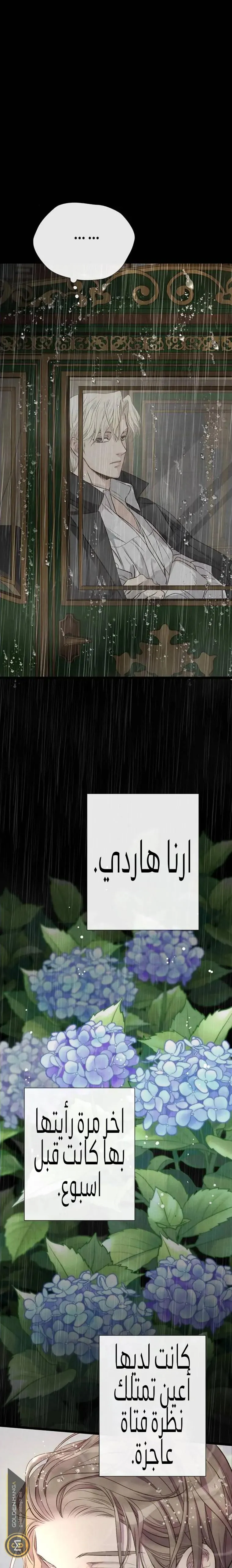 الصفحة 27
