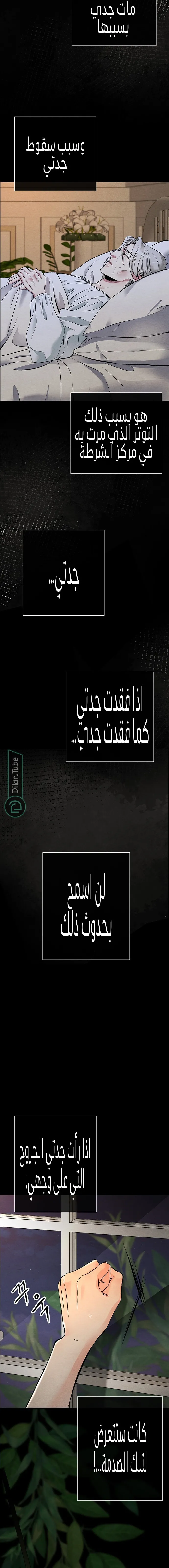 الصفحة 14