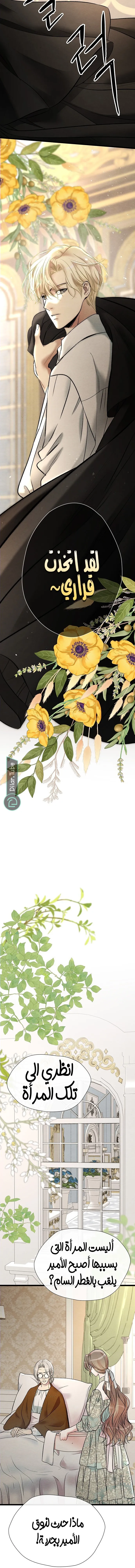 الصفحة 22