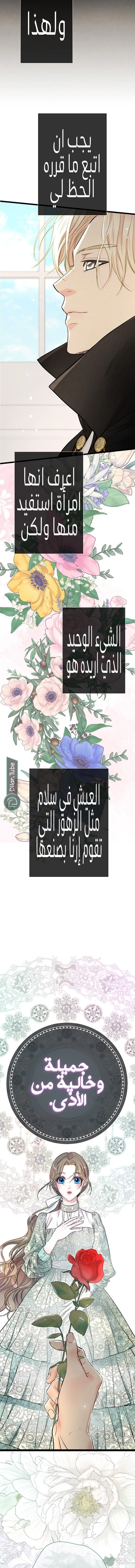 الصفحة 26