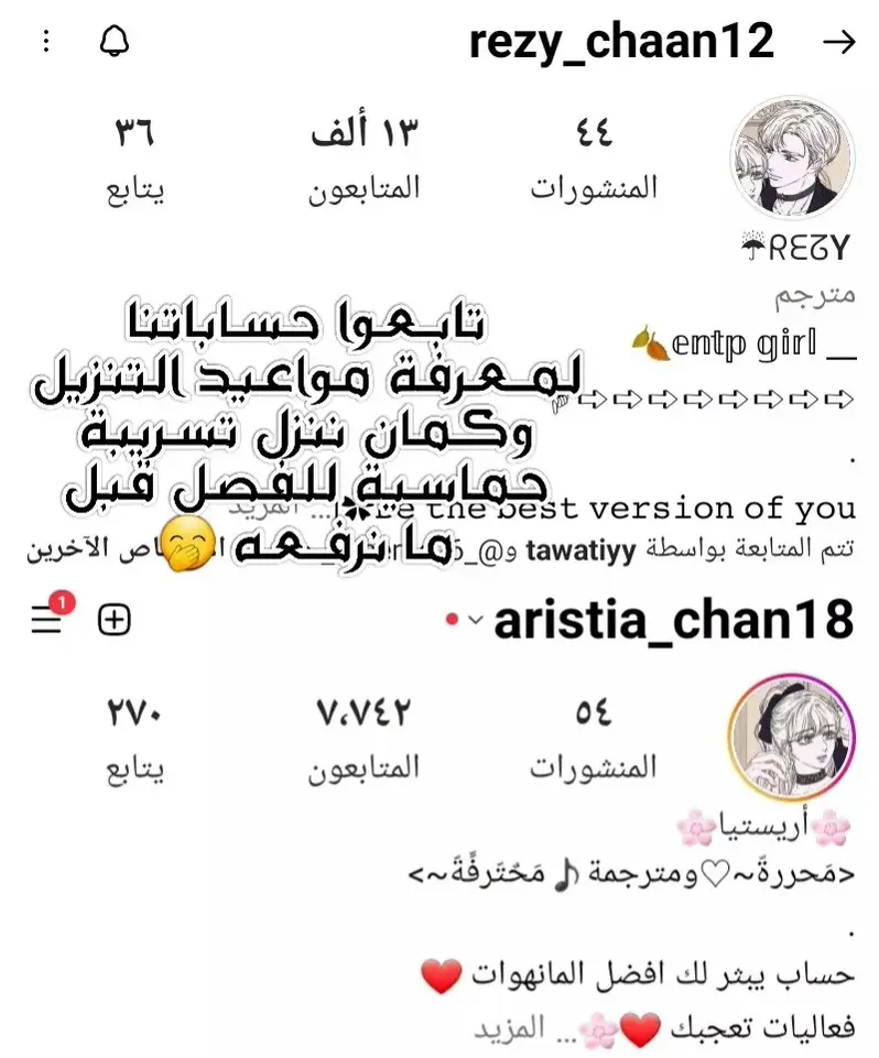 الصفحة 17
