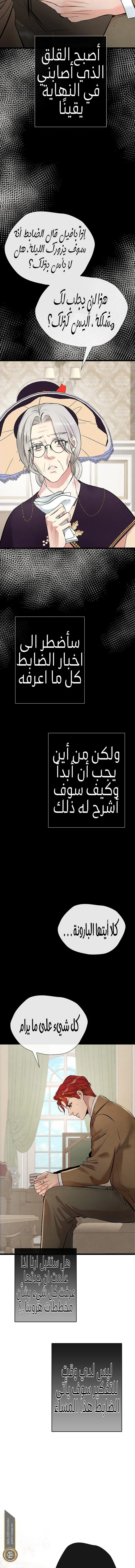 الصفحة 16