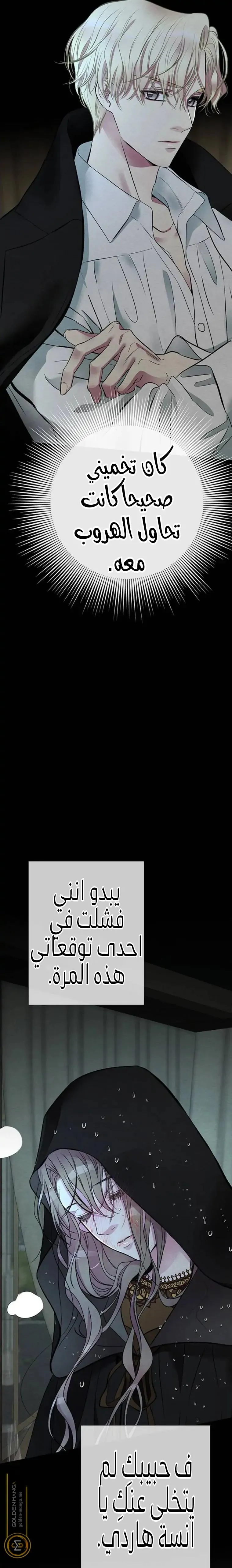الصفحة 21