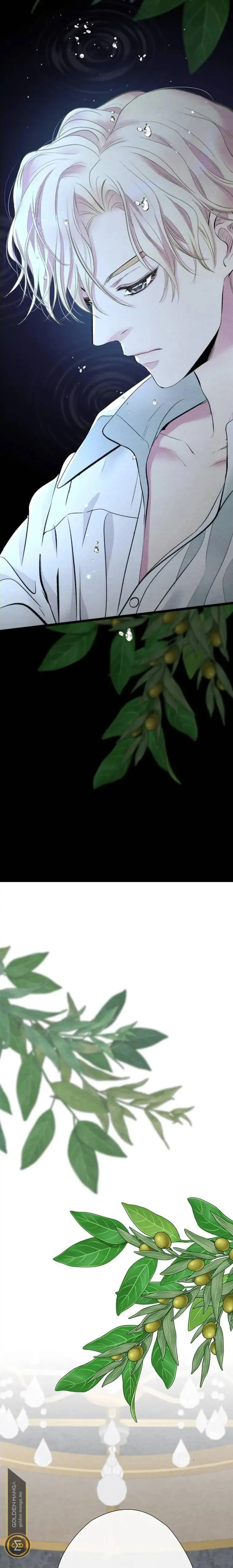 الصفحة 28