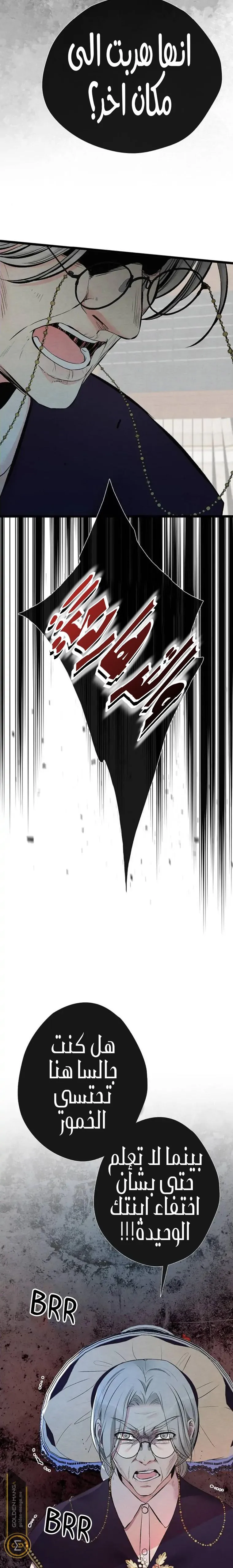 الصفحة 33