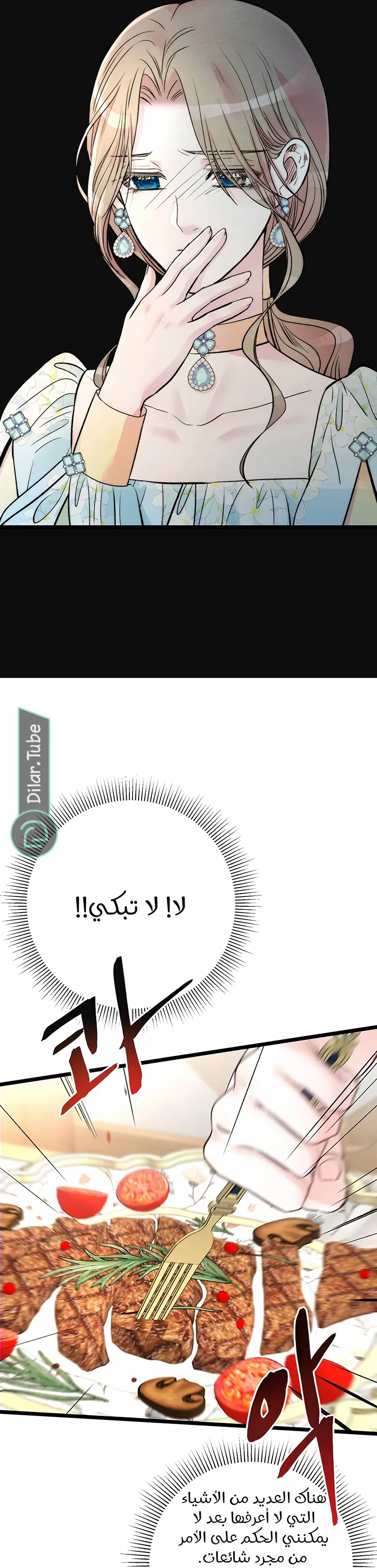 الصفحة 29
