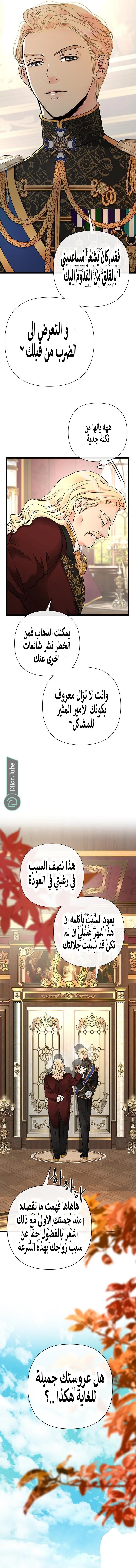 الصفحة 11