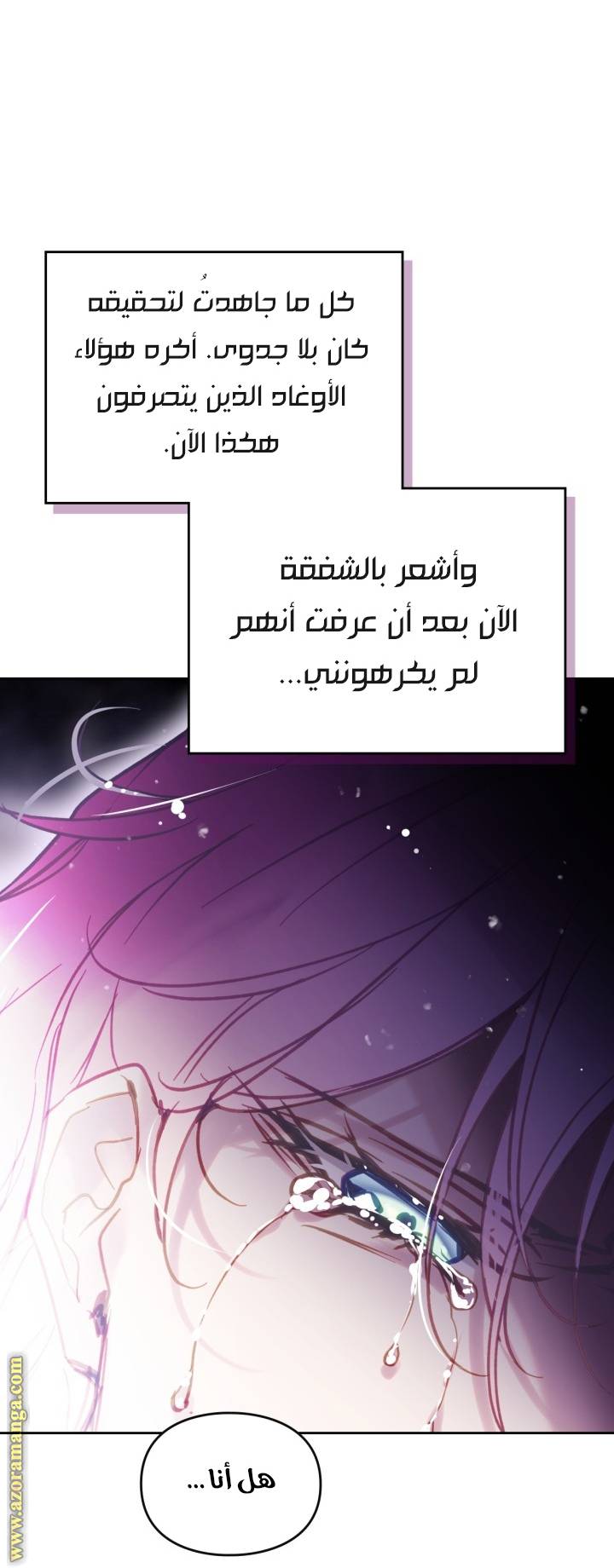 الصفحة 25