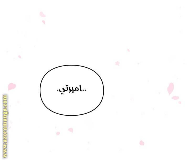 الصفحة 41