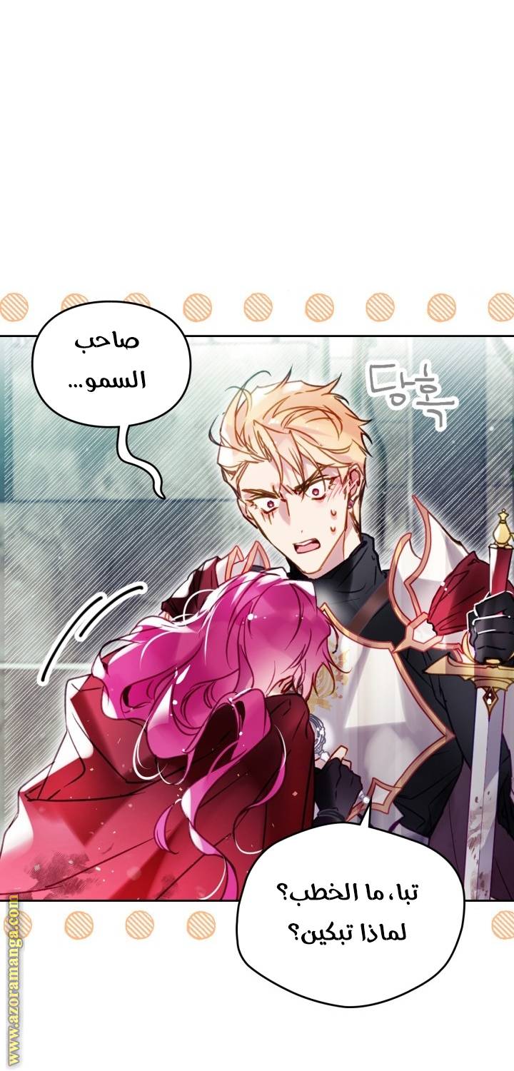 الصفحة 43
