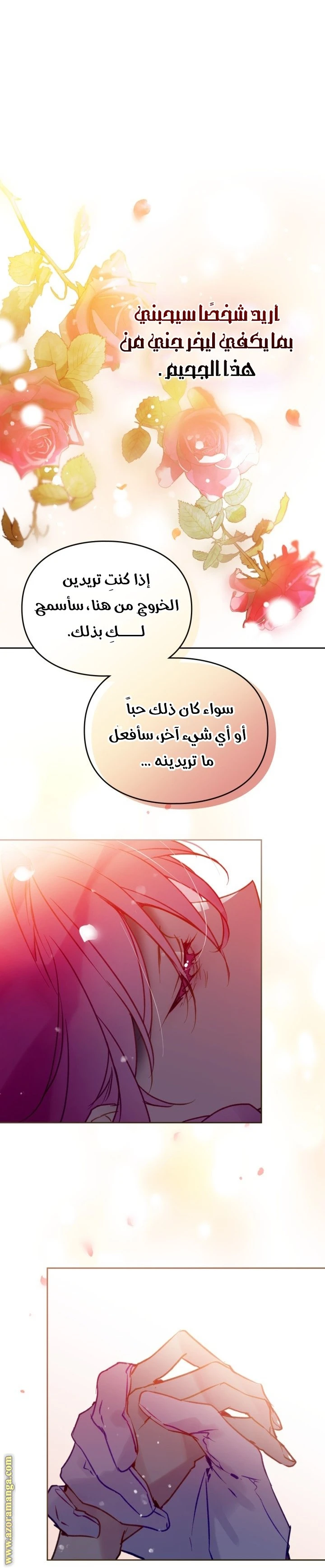 الصفحة 24