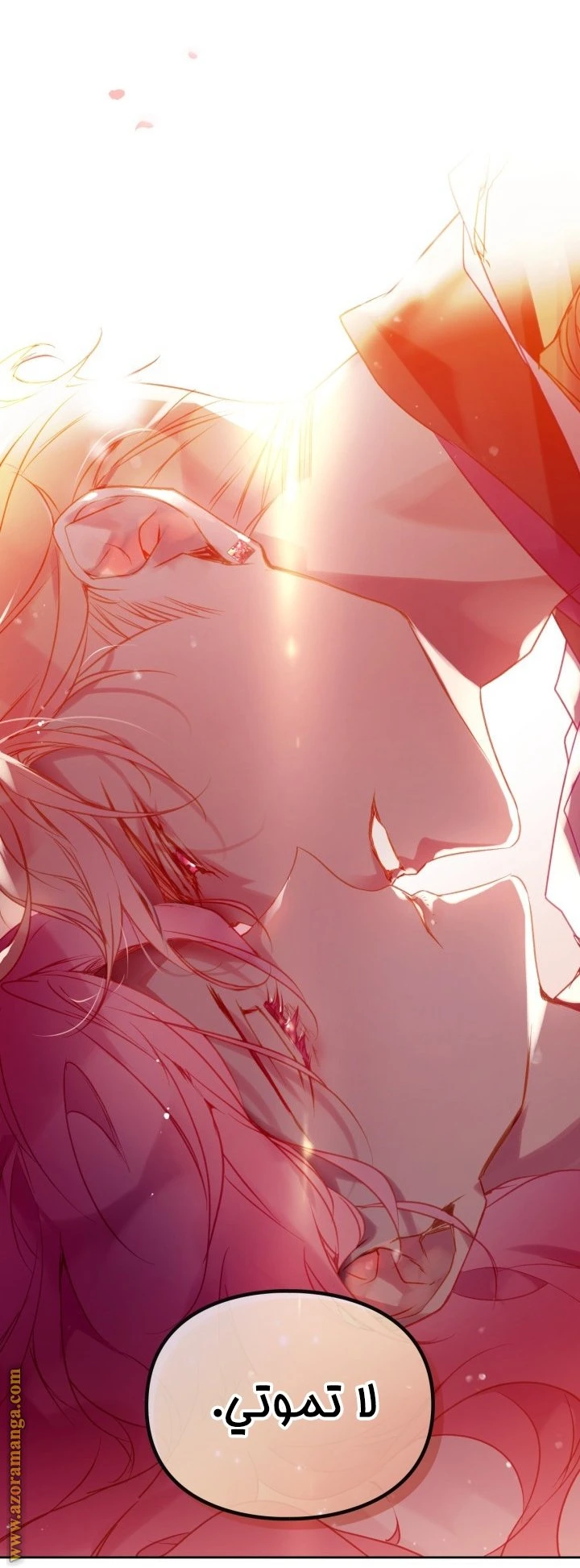 الصفحة 25