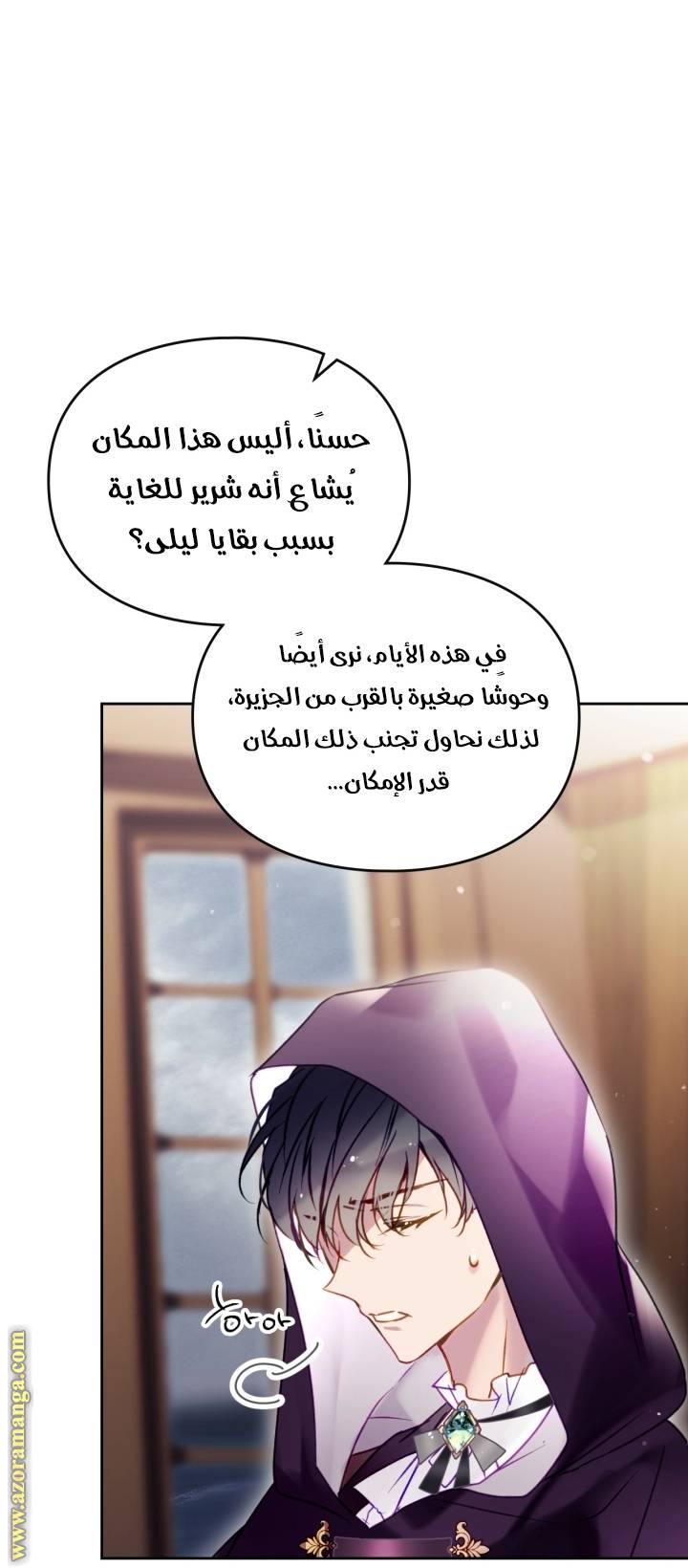 الصفحة 12