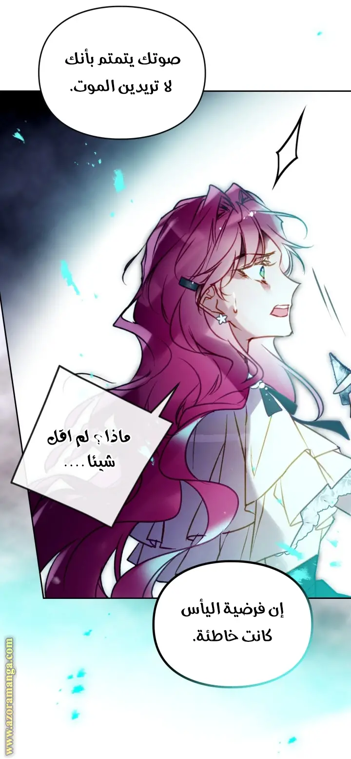 الصفحة 27